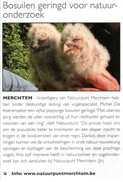 geboorteplek